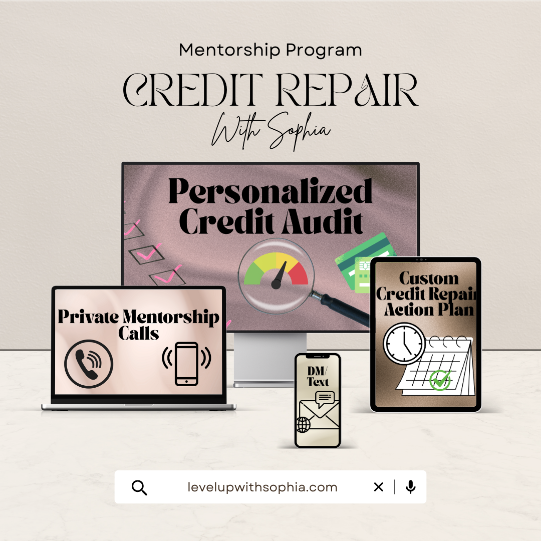 Credit Repair Mentorship Program